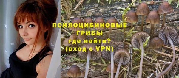 гашик Арсеньев