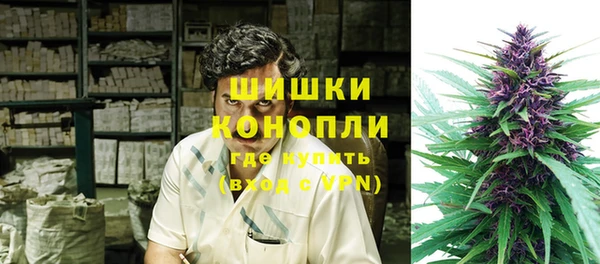 гашик Арсеньев