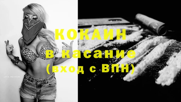 гашик Арсеньев