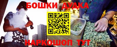 МДПВ Лесосибирск