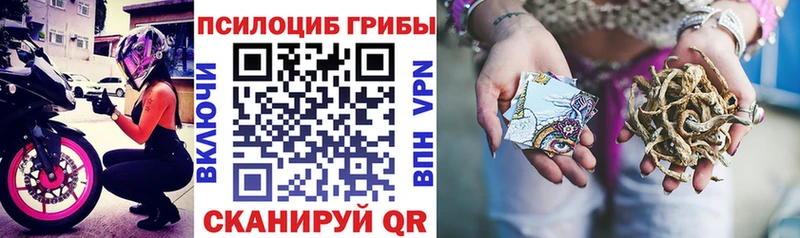 хочу наркоту  МЕГА как зайти  Галлюциногенные грибы прущие грибы  Губаха 