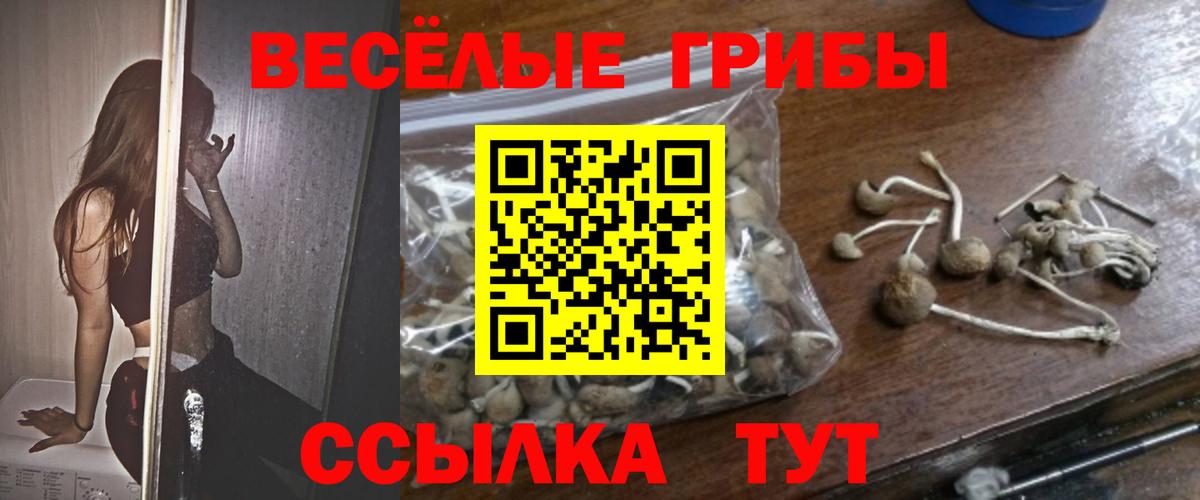 Псилоцибиновые грибы прущие грибы  Вход с VPN  Галлюциногенные грибы MAGIC MUSHROOMS  Губаха 