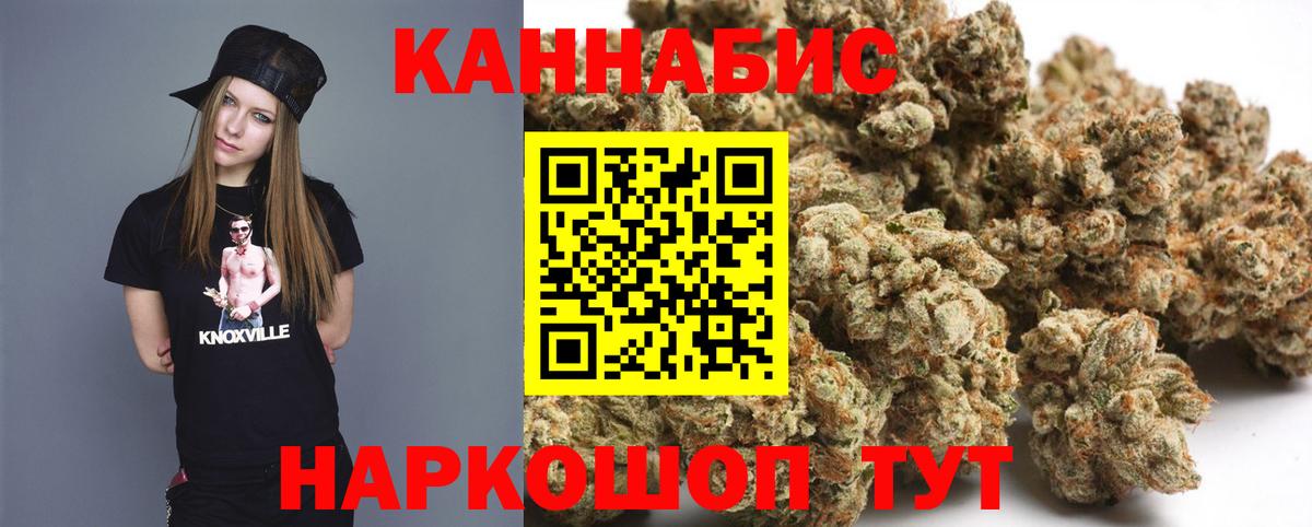 Бошки марихуана ГИДРОПОН Губаха